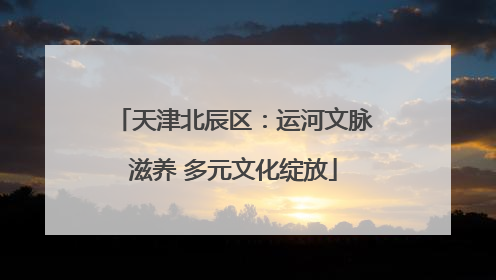 天津北辰区：运河文脉滋养 多元文化绽放