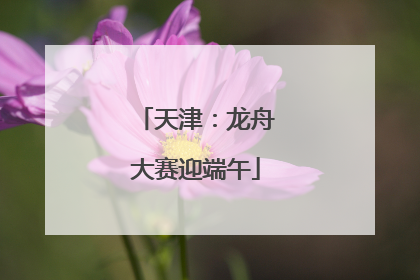 天津：龙舟大赛迎端午