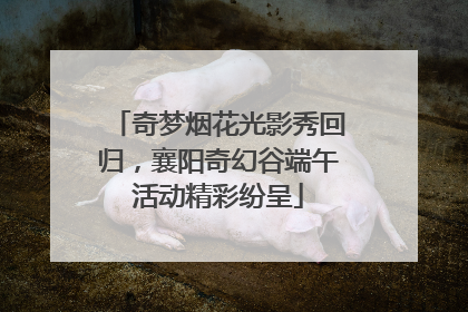 奇梦烟花光影秀回归，襄阳奇幻谷端午活动精彩纷呈
