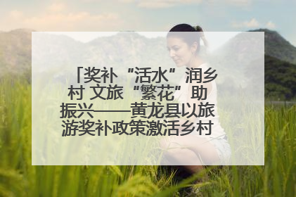 奖补“活水”润乡村 文旅“繁花”助振兴——黄龙县以旅游奖补政策激活乡村振兴新动能