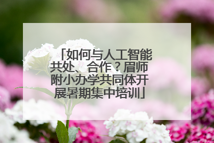 如何与人工智能共处、合作？眉师附小办学共同体开展暑期集中培训