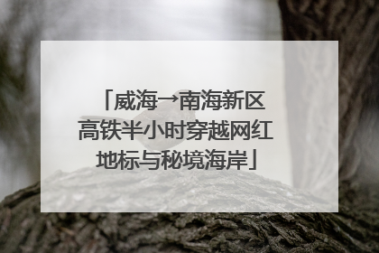威海→南海新区 高铁半小时穿越网红地标与秘境海岸