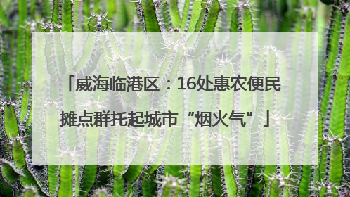 威海临港区：16处惠农便民摊点群托起城市“烟火气”