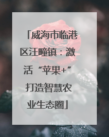 威海市临港区汪疃镇：激活“苹果+” 打造智慧农业生态圈