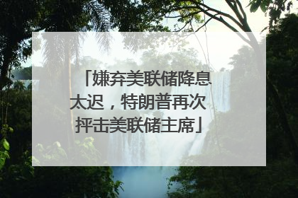 嫌弃美联储降息太迟，特朗普再次抨击美联储主席