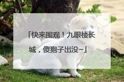 快来围观！九眼楼长城，傻狍子出没~
