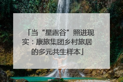 当“星露谷”照进现实：康旅集团乡村旅居的多元共生样本