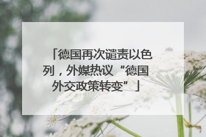 德国再次谴责以色列，外媒热议“德国外交政策转变”