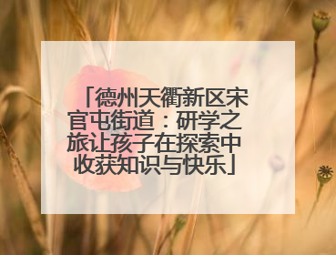 德州天衢新区宋官屯街道：研学之旅让孩子在探索中收获知识与快乐