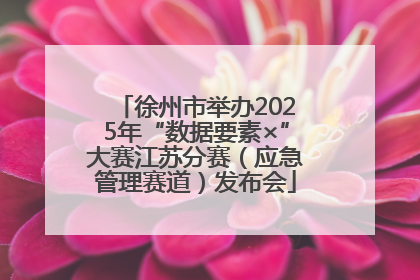 徐州市举办2025年“数据要素×”大赛江苏分赛（应急管理赛道）发布会