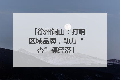 徐州铜山：打响区域品牌，助力“杏”福经济