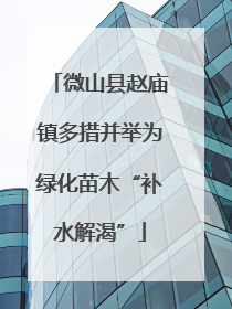 微山县赵庙镇多措并举为绿化苗木“补水解渴”