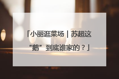 小丽逛菜场｜苏超这“鹅”到底谁家的？