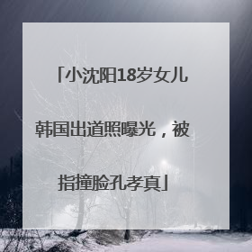 小沈阳18岁女儿韩国出道照曝光，被指撞脸孔孝真