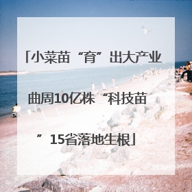 小菜苗“育”出大产业 曲周10亿株“科技苗”15省落地生根