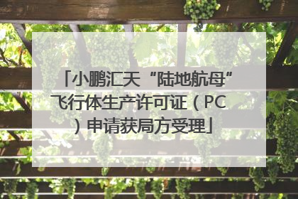 小鹏汇天“陆地航母”飞行体生产许可证（PC）申请获局方受理