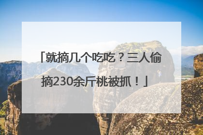 就摘几个吃吃？三人偷摘230余斤桃被抓！