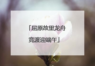 屈原故里龙舟竞渡迎端午