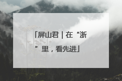 屏山君｜在“浙”里，看先进