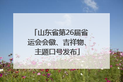 山东省第26届省运会会徽、吉祥物、主题口号发布