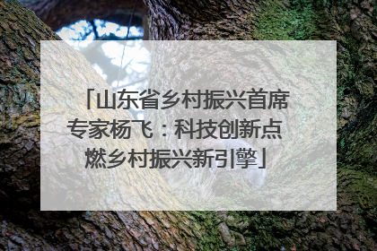 山东省乡村振兴首席专家杨飞：科技创新点燃乡村振兴新引擎