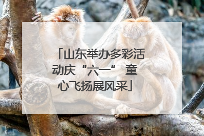 山东举办多彩活动庆“六一” 童心飞扬展风采