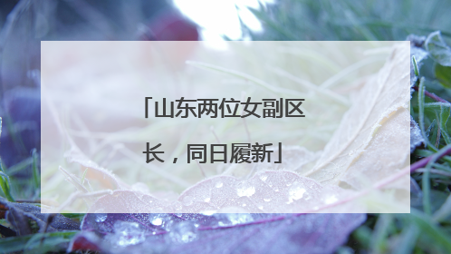 山东两位女副区长，同日履新