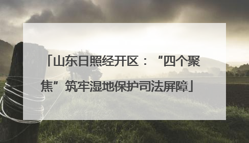 山东日照经开区：“四个聚焦”筑牢湿地保护司法屏障