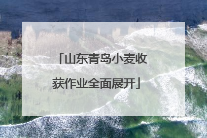 山东青岛小麦收获作业全面展开