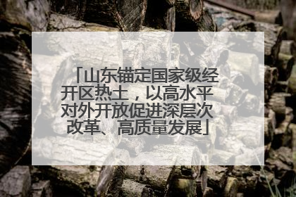 山东锚定国家级经开区热土，以高水平对外开放促进深层次改革、高质量发展