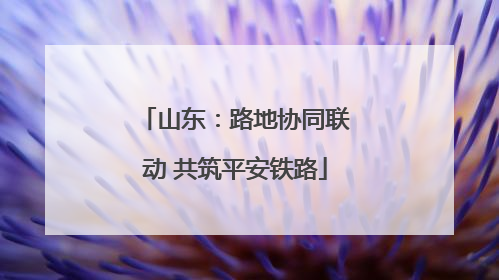 山东：路地协同联动 共筑平安铁路