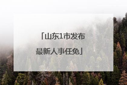 山东1市发布最新人事任免