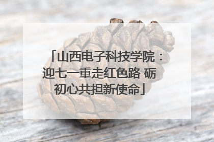 山西电子科技学院：迎七一重走红色路 砺初心共担新使命