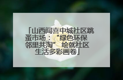 山西闻喜中城社区跳蚤市场：“绿色环保 邻里共淘” 绘就社区生活多彩画卷