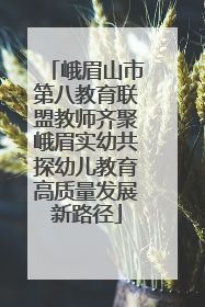 峨眉山市第八教育联盟教师齐聚峨眉实幼共探幼儿教育高质量发展新路径