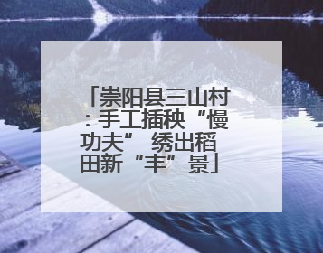 崇阳县三山村：手工插秧“慢功夫” 绣出稻田新“丰”景