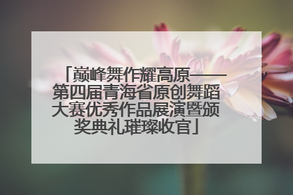 巅峰舞作耀高原——第四届青海省原创舞蹈大赛优秀作品展演暨颁奖典礼璀璨收官