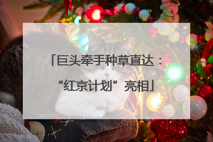 巨头牵手种草直达：“红京计划”亮相