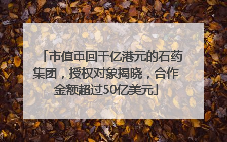市值重回千亿港元的石药集团，授权对象揭晓，合作金额超过50亿美元