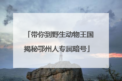 带你到野生动物王国揭秘鄂州人专属暗号