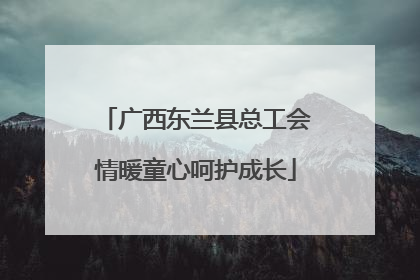 广西东兰县总工会情暖童心呵护成长