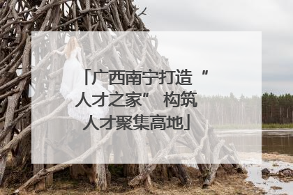 广西南宁打造“人才之家” 构筑人才聚集高地