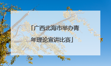广西北海市举办青年理论宣讲比赛