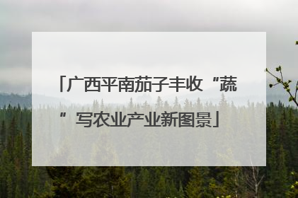 广西平南茄子丰收“蔬”写农业产业新图景