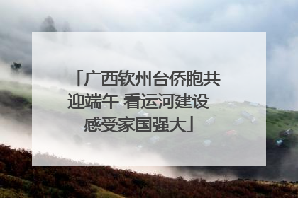 广西钦州台侨胞共迎端午 看运河建设感受家国强大