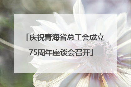 庆祝青海省总工会成立75周年座谈会召开