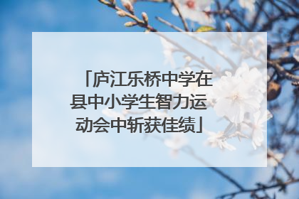庐江乐桥中学在县中小学生智力运动会中斩获佳绩