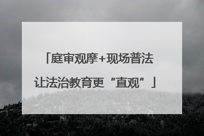 庭审观摩+现场普法 让法治教育更“直观”