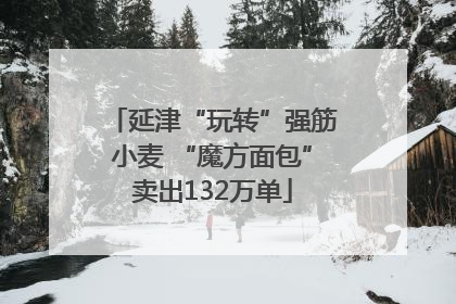 延津“玩转”强筋小麦 “魔方面包”卖出132万单