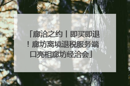 廊洽之约丨即买即退！廊坊离境退税服务端口亮相廊坊经洽会